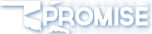 OK Promise Update